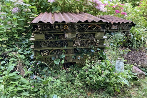 Bug hotel with green plants behind